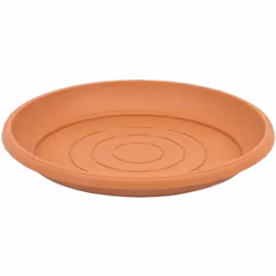 Terra Universel Pot de Fleurs Plastique Soucoupes 25cm1 Pièce