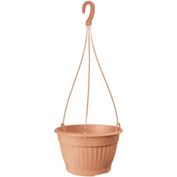 Jardinière suspendue terra 4L 23x23x14 cm en Terre cuite - Prosperplast