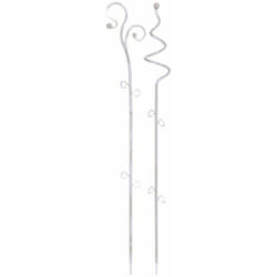 Prosperplast - Support pour fleurs ou plantes grimpantes decor , dimensions (mm) 90/60x585, couleur Transparent
