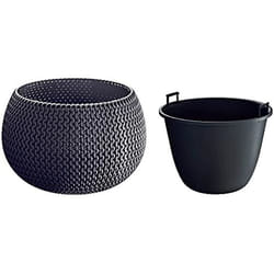 Pot de Fleurs - PROSPERPLAST - Splofy Bowl - Plastique - Anthracite - 23 L - Rond