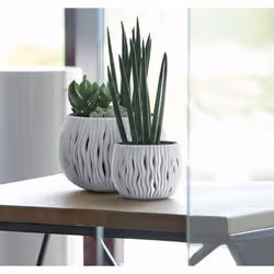 Prosperplast DSK240-S433 jardinière Anthracite Vitrocéramique 1 pièce(s)