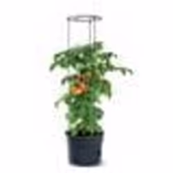 Pot pour pied de tomates - IPOM - Tomato Grower - 12L - Cylindrique - Plastique