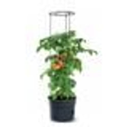 Pot pour pied de tomates - IPOM - Tomato Grower - 12L - Cylindrique - Plastique