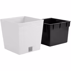 Jardinière Prosperplast Furu Square Low DFS240-S449 - blanc - 75l