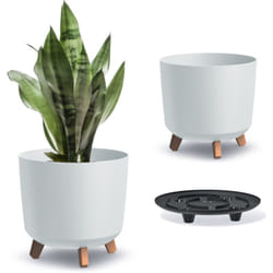 Prosperplast - Pot de fleurs sur pieds gracia tubus DGTL300L Blanc