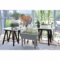 Prosperplast Respana Intérieure Jardinière Autonome Gris