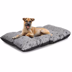 Coussin pour chien IMPERMÉABLE et durable BLACK BONES en gris, satisfaction GARANTIE de votre animal ! Taille : "M" Pays d'or ...