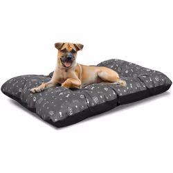 Oreiller pour chien IMPERMÉABLE et durable SILVER BONES de couleur graphite, satisfaction GARANTIE de votre animal ! Taille : ...