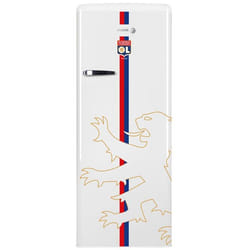 Fagor FSPR194OLW frigo combine Pose libre 218 L E Blanc