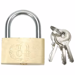 TOYA 77250, 25 g, 1 pièce(s)