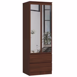 AKORD Furniture Factory SP0PSYSWENLUSTR, Wenge, Armoire, 1 étagères, 2 portes(s), Mat, Porte à charnière