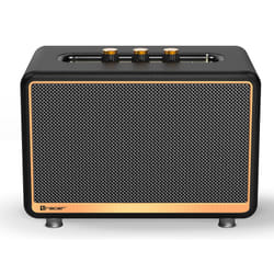 Tracer M30 TWS BT Enceinte portable stéréo Noir, Or 30 W