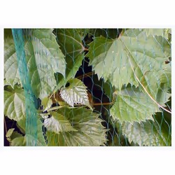Bradas AS-BN10191940020 palissade et grillage pour jardin