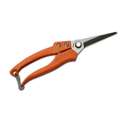 Bradas KT-V3P non classé