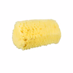 Bradas ESQ2780H brosse de nettoyage