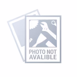Graphite 59G175 meuleuse d'angle