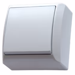 Ospel ŁN-1B/00, Blanc, IP20, 250 V, 10 A, 60 mm, 37 mm