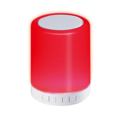 Platinet PDLSB01 enceinte portable