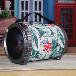 Omega OG73P enceinte portable