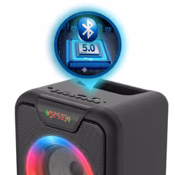 Manta SPK816 enceinte portable Enceinte portable mono Noir 30 W