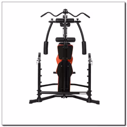 HMS Fitness CYBORG 1 Dos, Biceps, Trapèze, Triceps