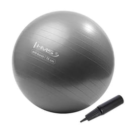 Yb02 Nouveau Ballon De Gymnastique Gris 75cm Hms