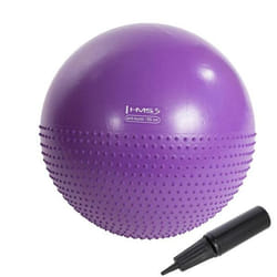 Yb03 Nouveau Ballon De Gymnastique Violet 55cm Hms