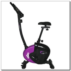 HMS Fitness M9239V Base d’entrainement magnétique pour vélo