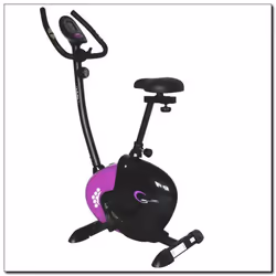 HMS Fitness M9239V Base d’entrainement magnétique pour vélo