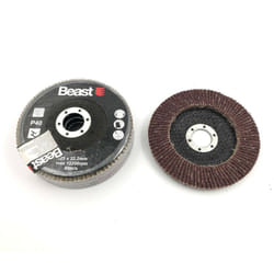 Beast - 3 disques lamelles bombés d. 125 x Al. 22,23 mm Gr 40 corindon pour Bois, métal - 739534