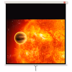 Avtek International Video 200, Manuel, 195 cm, 146,5 cm, 4:3, Noir, Blanc