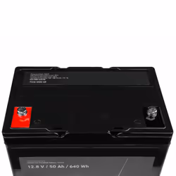Green Cell CAV06 batterie rechargeable Phosphate de fer lithié (LiFePo4) 50000 mAh 12,8 V