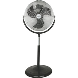 Camry Premium CR 7307 ventilateur Noir, Acier inoxydable