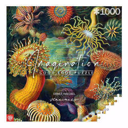 Cenega Imagination, 1000 pièce(s), Art