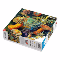 Cenega Imagination Jeu de puzzle 1000 pièce(s) Art