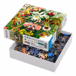 Cenega Imagination Jeu de puzzle 1000 pièce(s) Art