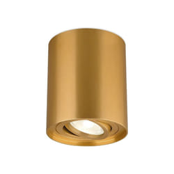 Braytron - Plafonnier alu GAMA-8010C rond GU10 35W Doré