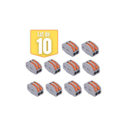 Braytron - Bornes de connexion Lot de 10 - Levier
