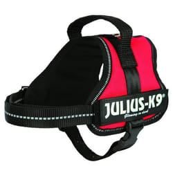 TRIXIE 150103 harnais pour chiens et chats XS Chien