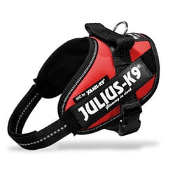 Harnais Power Julius-K9 - Mini - M : 51-67 cm-28 mm - Rouge - Pour chien