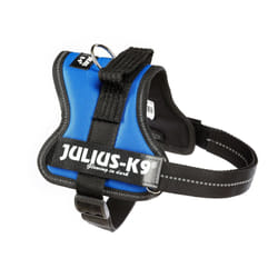 Julius-K9 Powerharness S Bleu Polyester Chien Harnais abdominal
