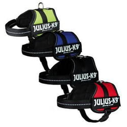 Harnais Power Julius-K9 - Mini - M : 51-67 cm-28 mm - Camouflage - Pour chien