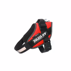 Julius-K9 IDC, Chien, XL, Noir, Rouge, 115 cm, 82 cm