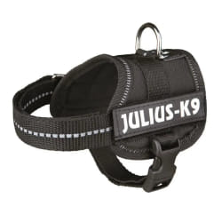 Julius K9 Power - Baby 1 - XS - Noir