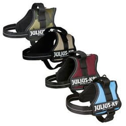 Harnais Power Julius-K9 - Baby 2 - XS-S : 33-45 cm-18 mm - Noir - Pour chien