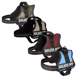 Harnais Power Julius-K9 - Baby 2 - XS-S : 33-45 cm-18 mm - Camouflage - Pour chien