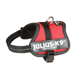 Julius-K9 Powerharness XS-S Noir, Rouge Polyester Chien Harnais abdominal