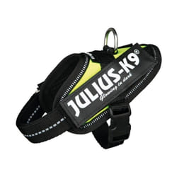 JULIUS-K9 harnais power idc baby 1/XS: 2936CM jaune fluo pour chien 14807