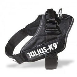 Julius-K9 14811 harnais pour chiens et chats XS-S Noir Chien Harnais abdominal