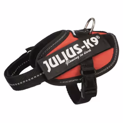 JULIUS K9 Harnais Power IDC Baby 2-XS-S : 33-45 cm - 18 mm - Rouge - Pour chien
